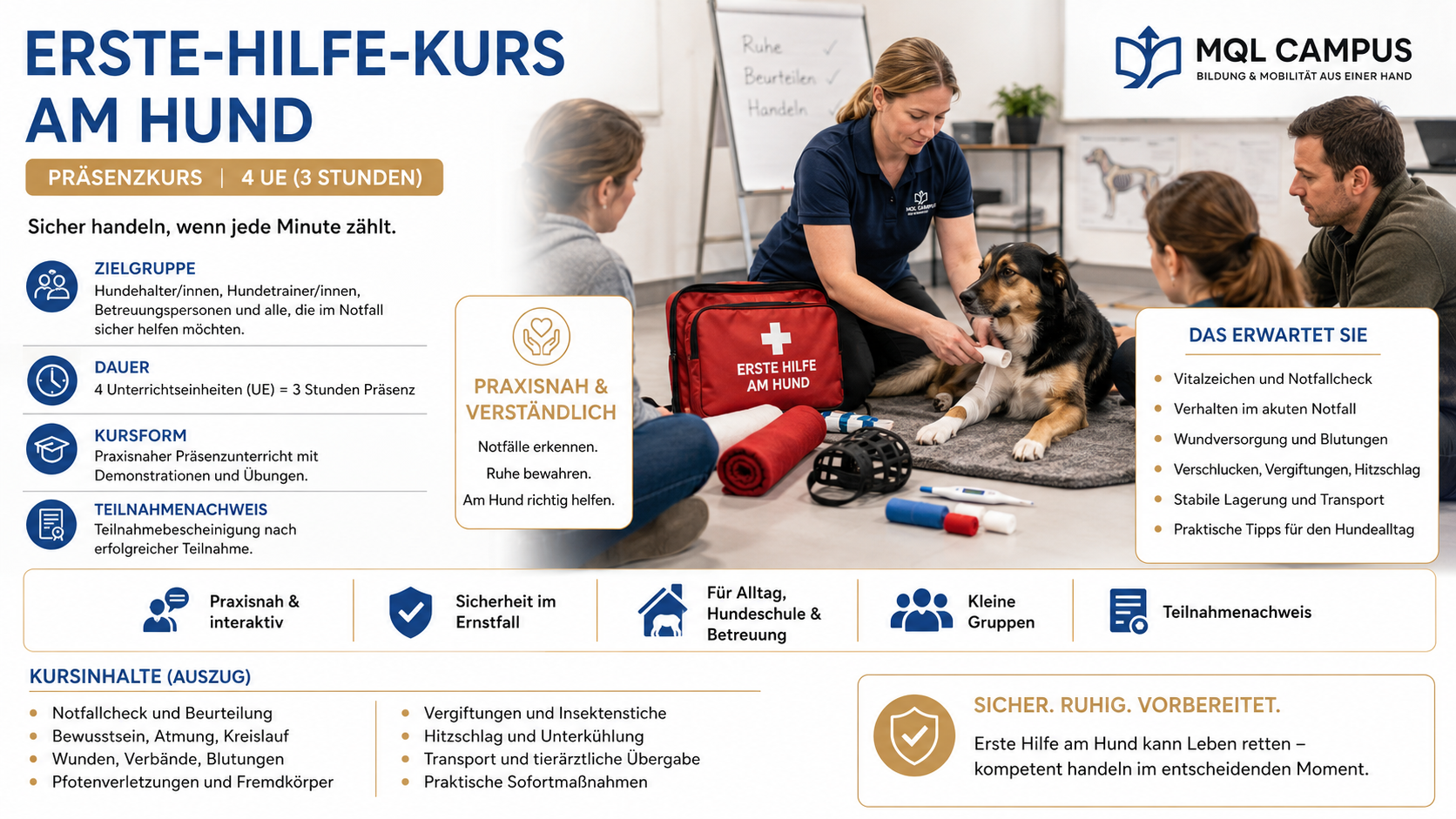 Erste-Hilfe-Kurs am Hund